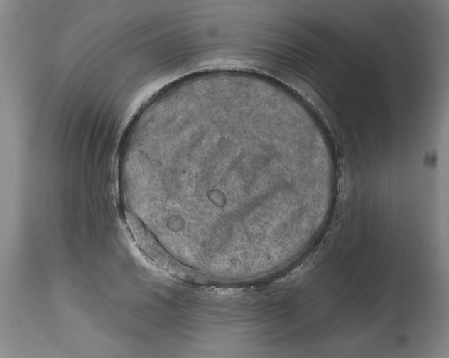 X0000114661030200911101338