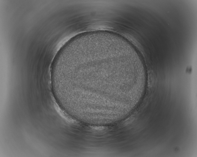 X0000114661031200911101338