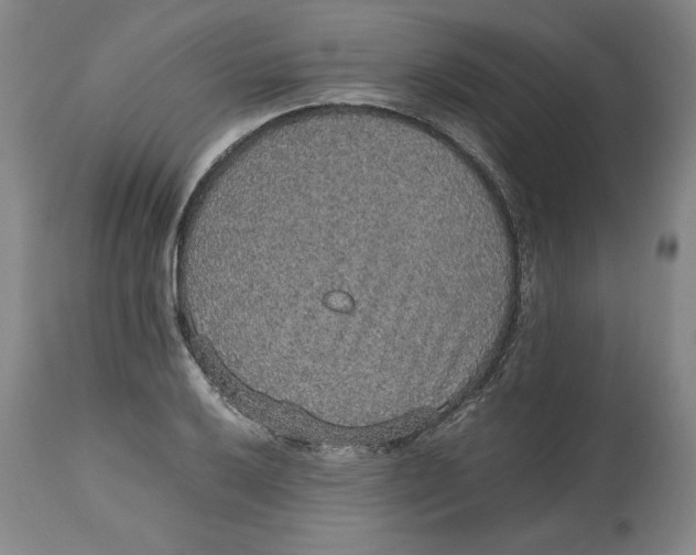 X0000114661032200911101338