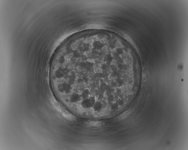 X0000114661035200911101338