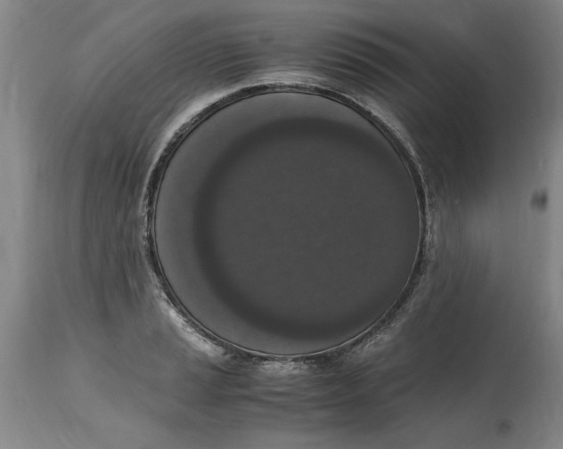 X0000114661037200911101338