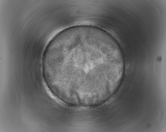 X0000114661038200911101338