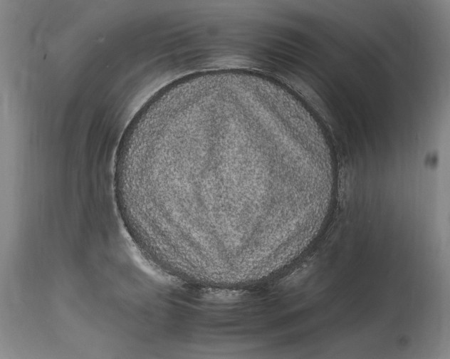 X0000114661039200911101338