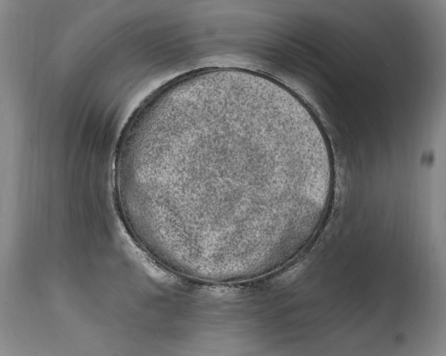 X0000114661040200911101338