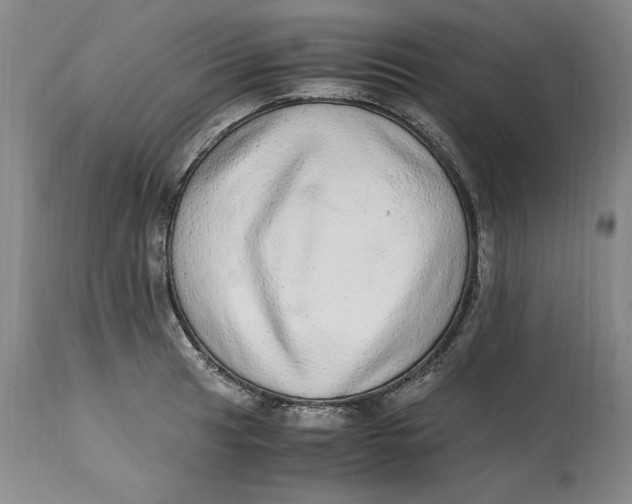 X0000114661041200911101338