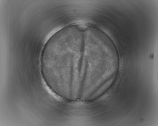 X0000114661042200911101338