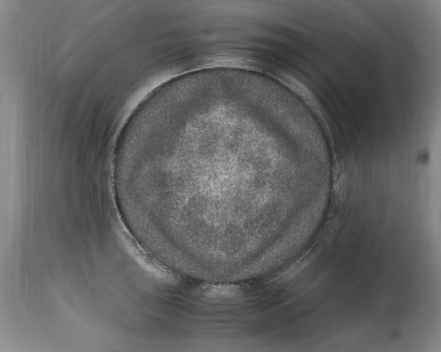 X0000114661043200911101338