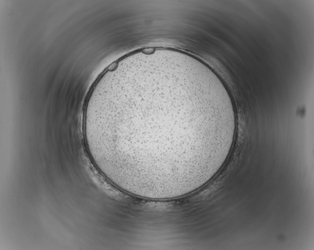 X0000114661044200911101338