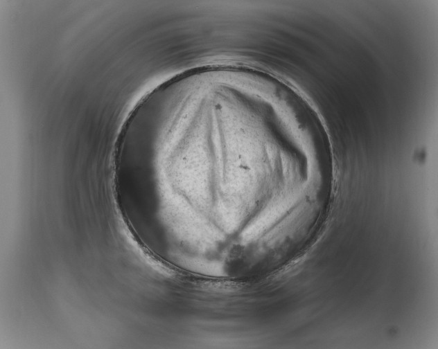 X0000114661045200911101338