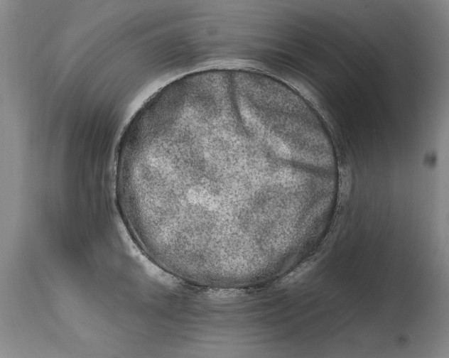 X0000114661046200911101338