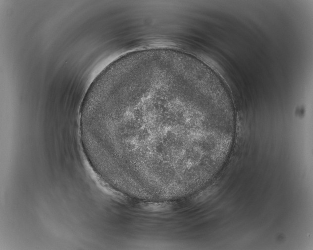 X0000114661047200911101338