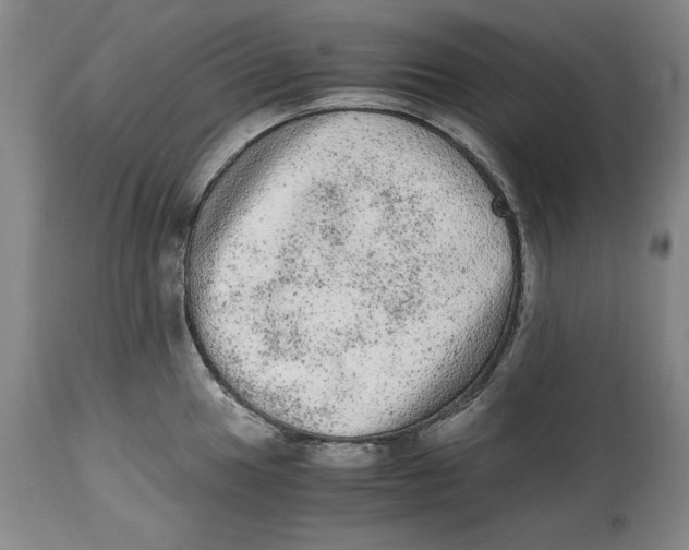 X0000114661049200911101338