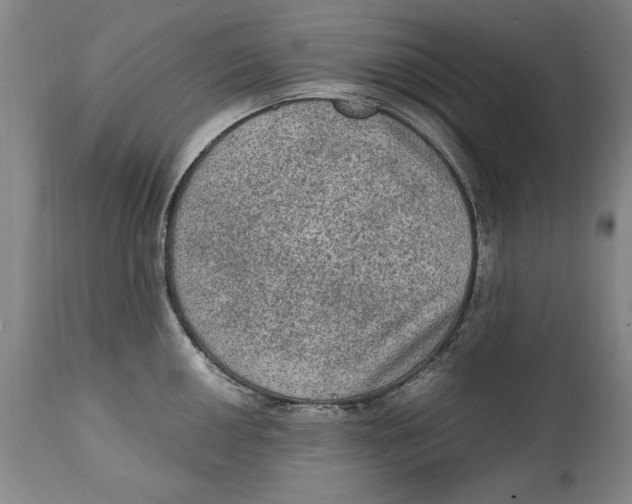 X0000114661050200911101338