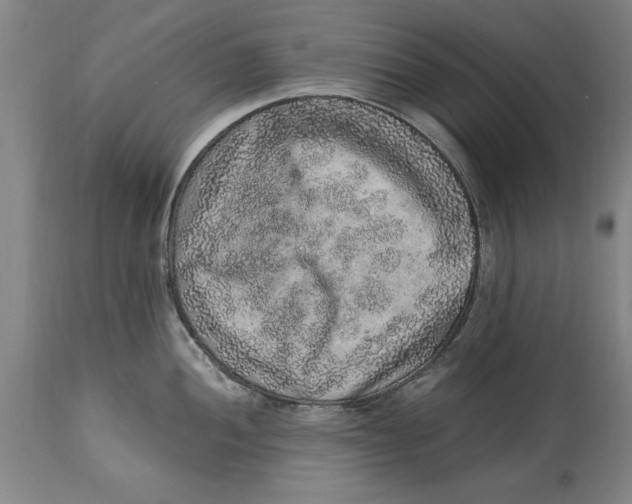 X0000114661052200911101338