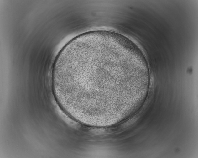 X0000114661054200911101338