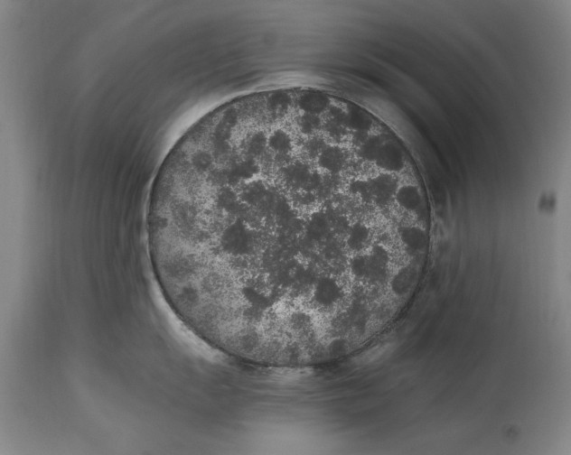 X0000114661055200911101338