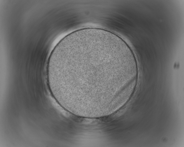 X0000114661056200911101339