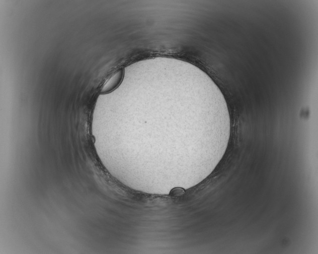 X0000114661058200911101338