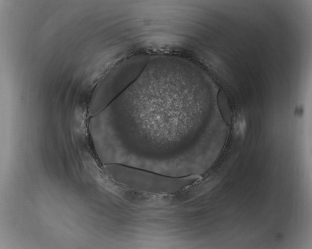 X0000114661060200911101338