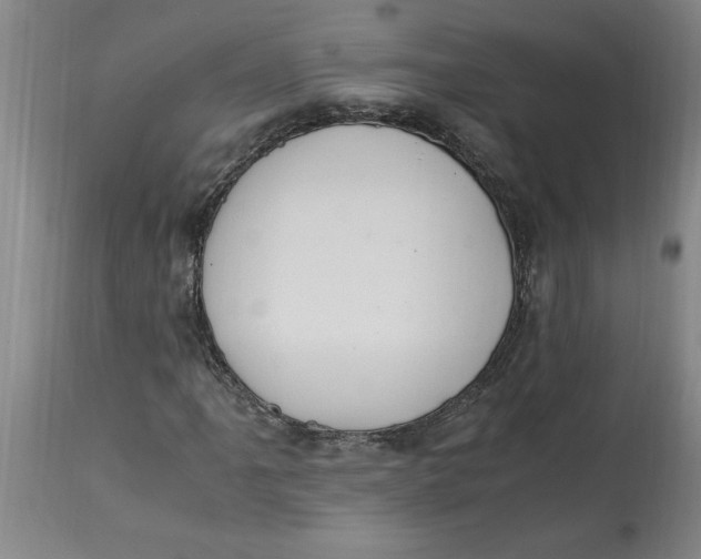 X0000114661061200911101338