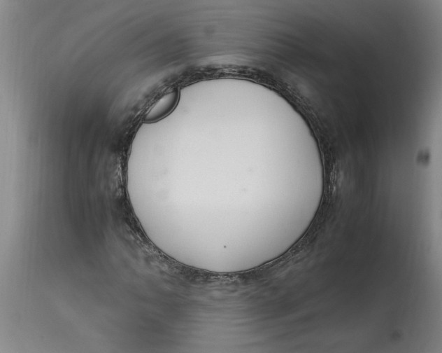 X0000114661062200911101338