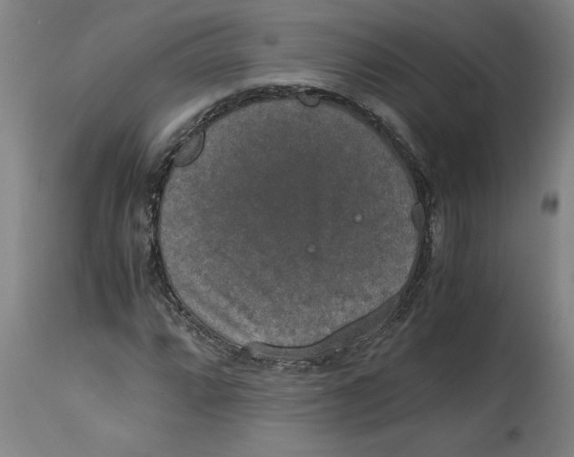 X0000114661064200911101338