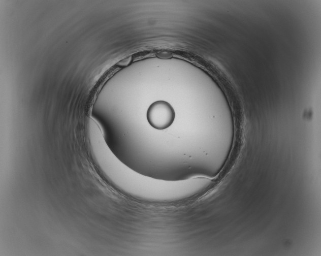 X0000114661065200911101338