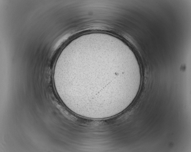 X0000114661067200911101338