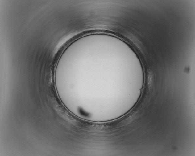 X0000114661069200911101338