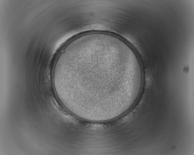 X0000114661070200911101338