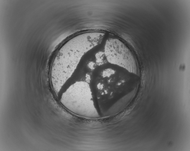 X0000114661071200911101338