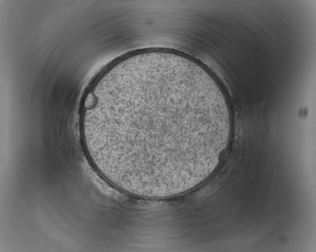 X0000114661072200911101338