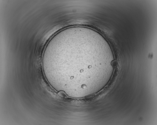 X0000114661073200911101338