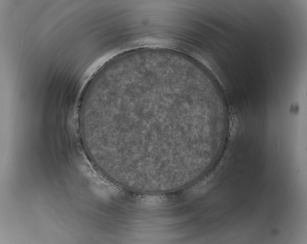 X0000114661074200911101338