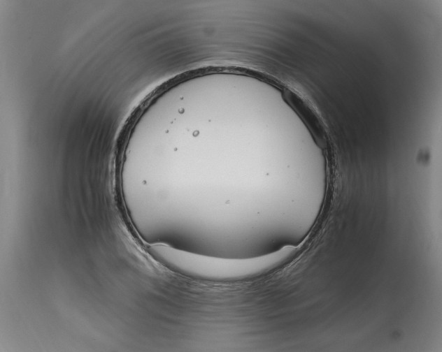 X0000114661076200911101338