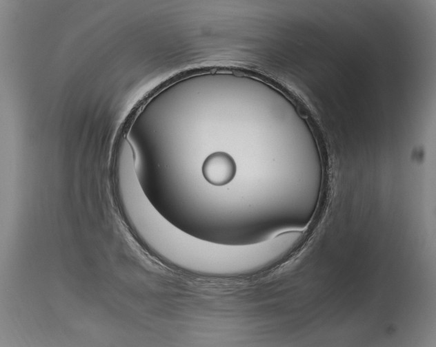 X0000114661077200911101338