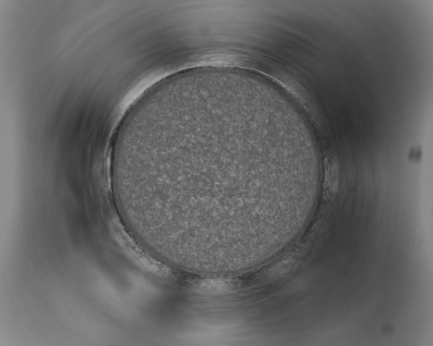 X0000114661078200911101338