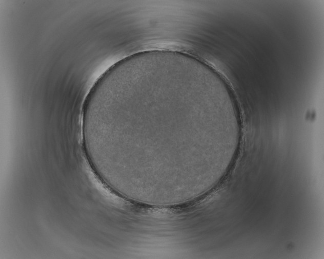 X0000114661079200911101338