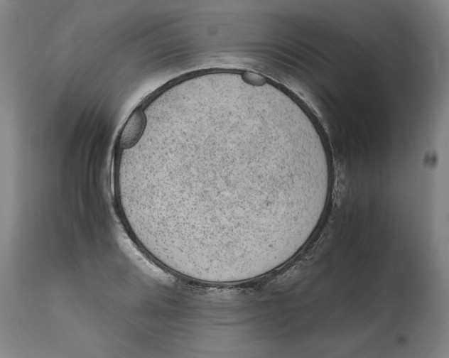 X0000114661080200911101338