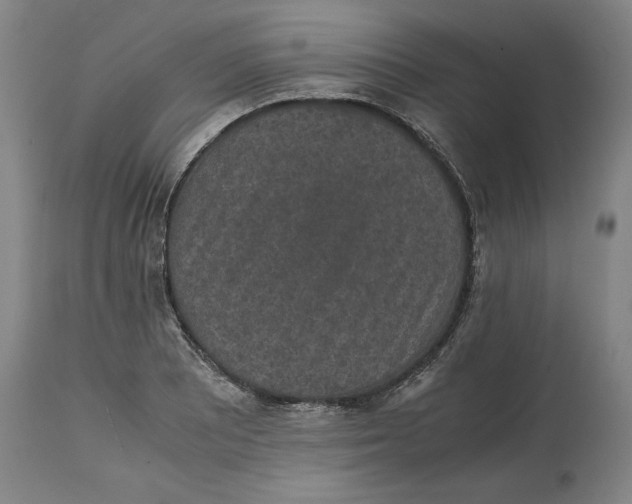 X0000114661081200911101338