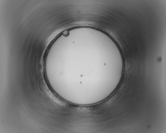 X0000114661082200911101337