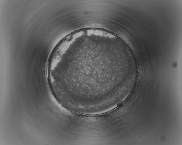 X0000114661084200911101337