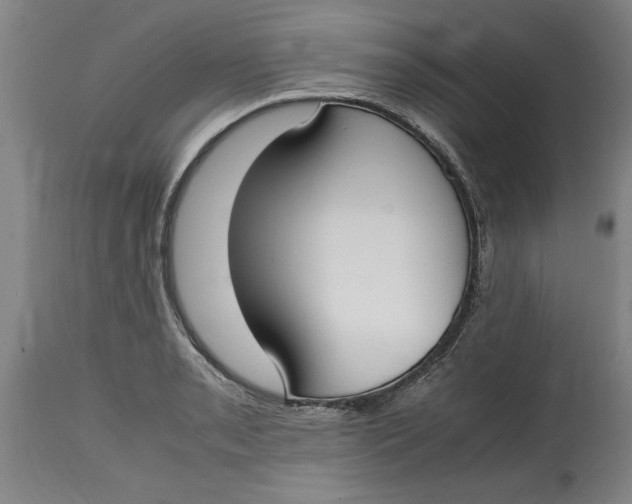 X0000114661085200911101337