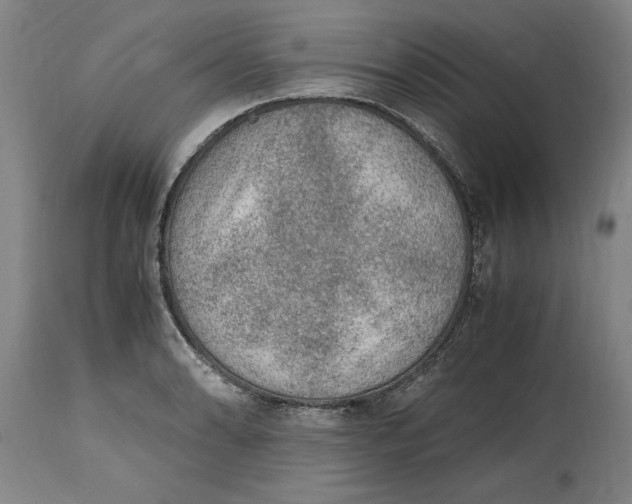 X0000114661086200911101337