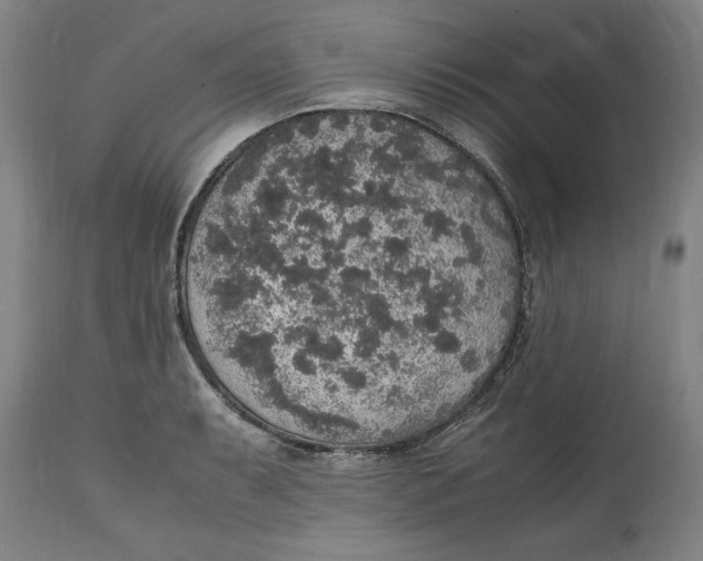 X0000114661087200911101337