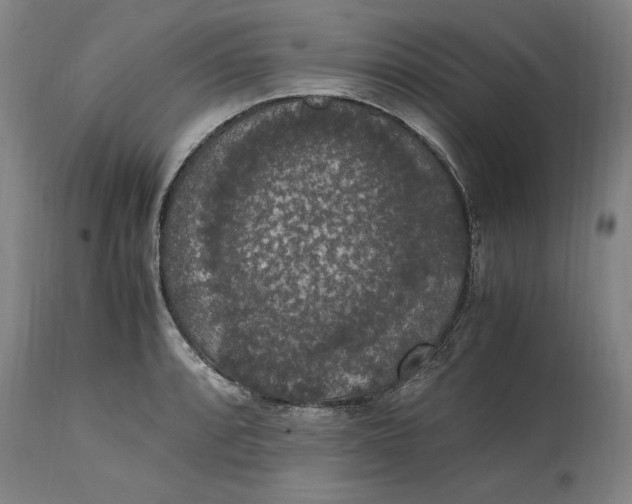 X0000114661088200911101337