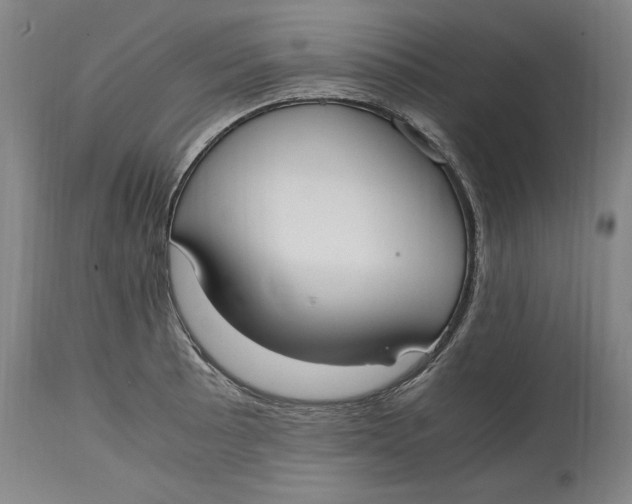 X0000114661089200911101337