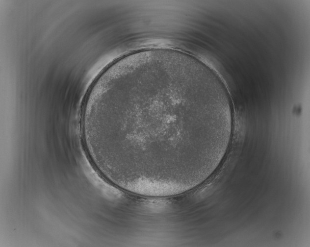 X0000114661090200911101337