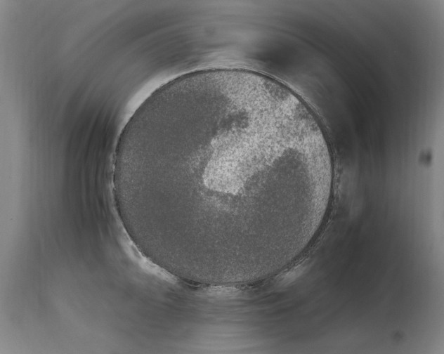 X0000114661094200911101337