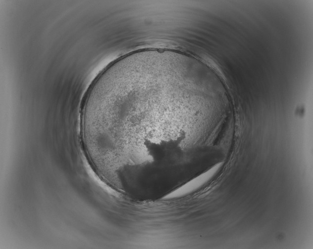 X0000114661095200911101337